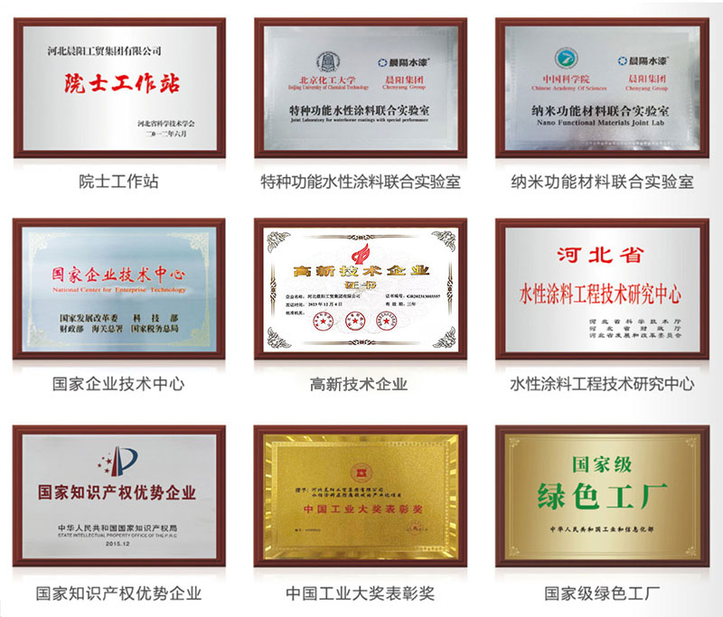 晨阳各项荣誉.jpg